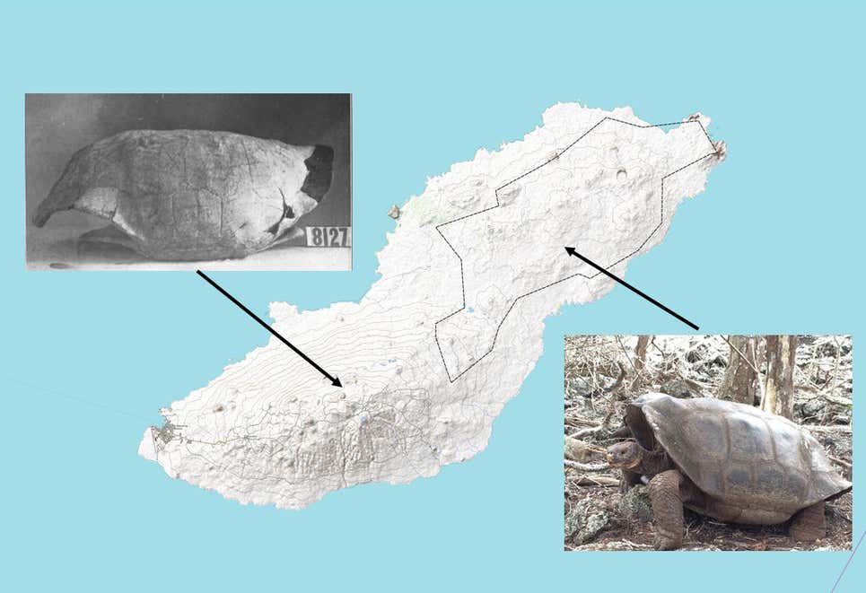 Isla San Cristóbal, mostrando las ubicaciones de las dos especies de tortugas gigantes