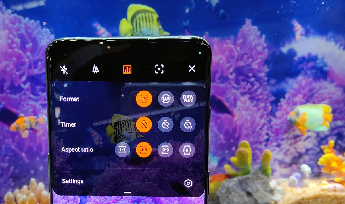 Photo: Carlos Zahumenszky / Gizmodo