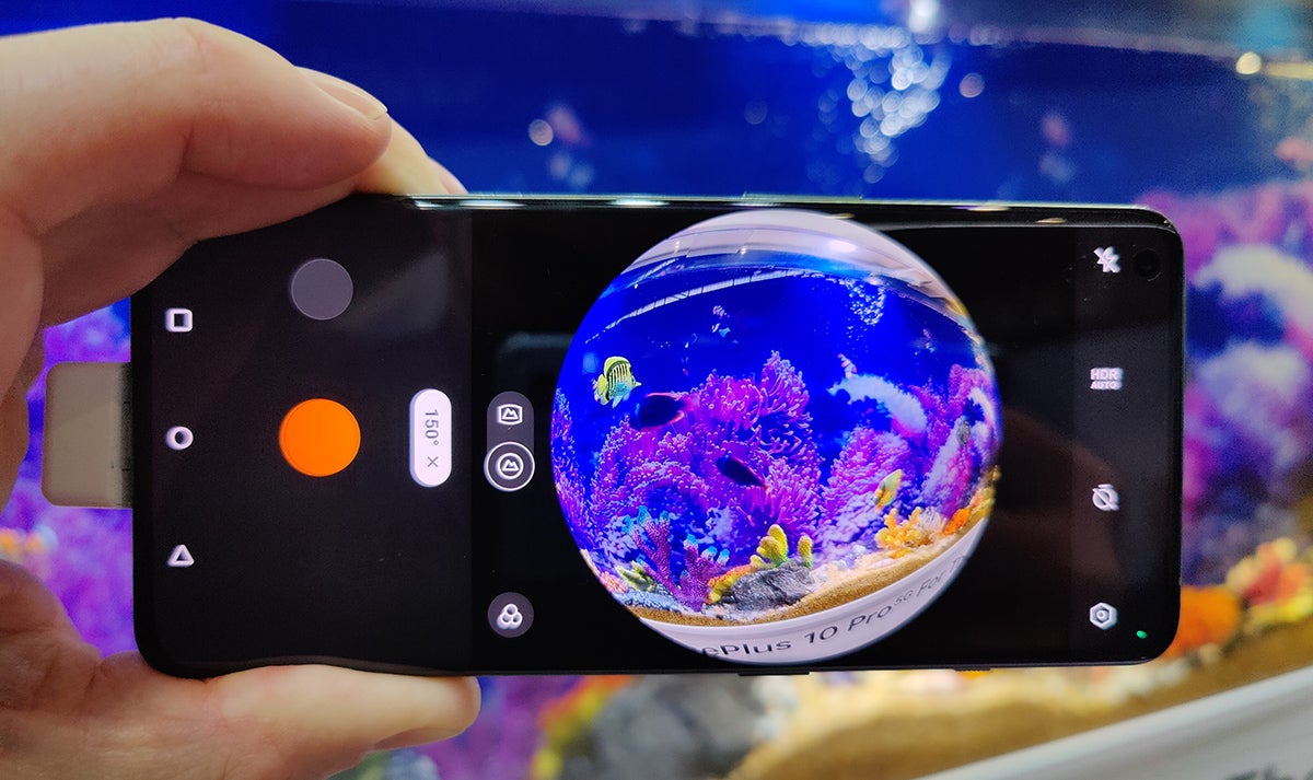 Photo: Carlos Zahumenszky / Gizmodo