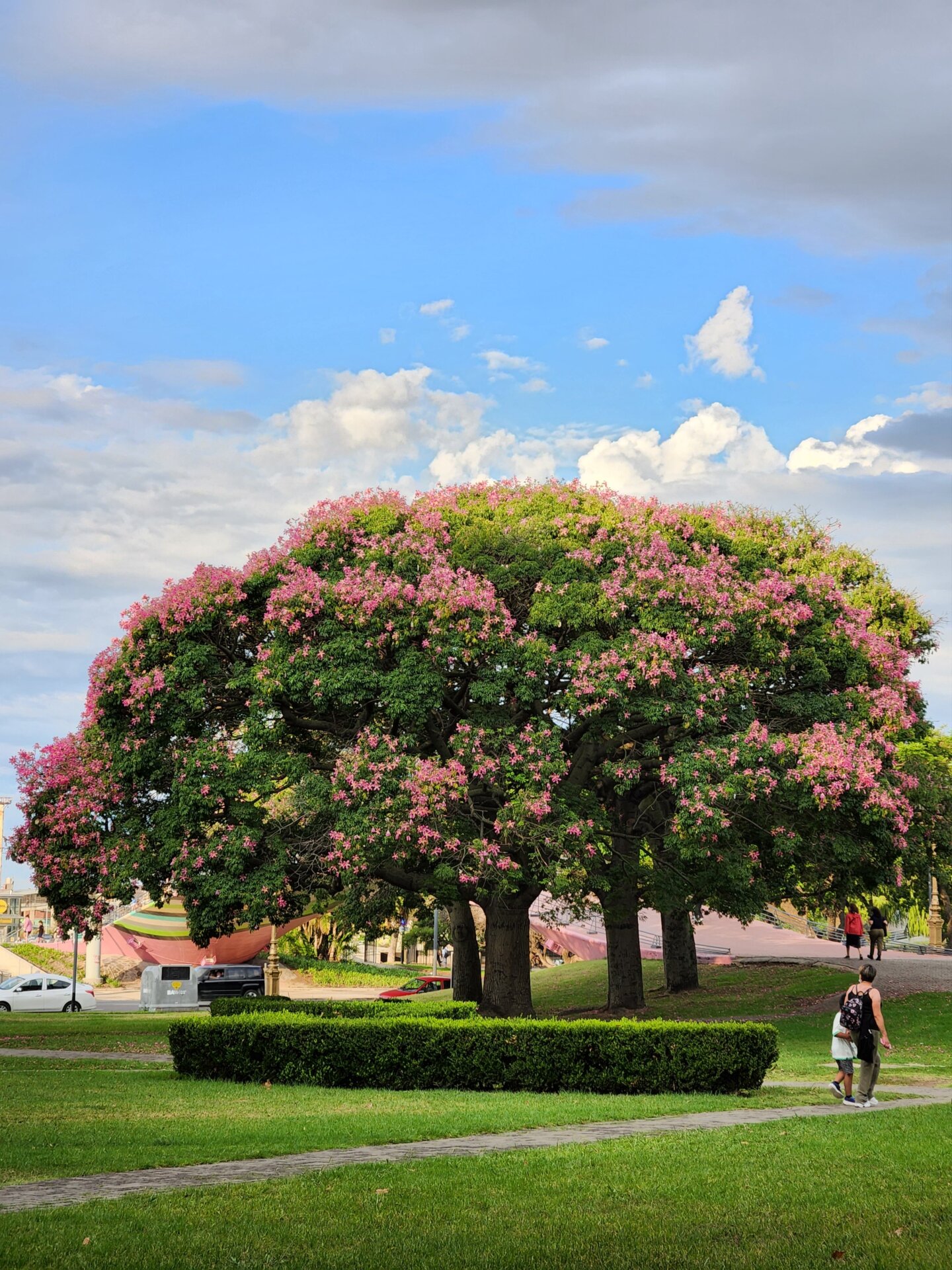 Photo: Eduardo Marín / Gizmodo.