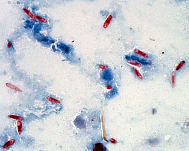 Image: Edward G. LeBrun
