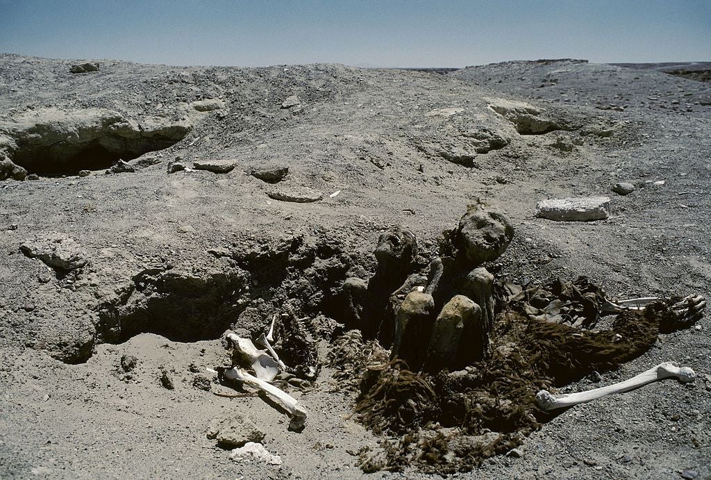 Photo: JNS/Gamma-Rapho