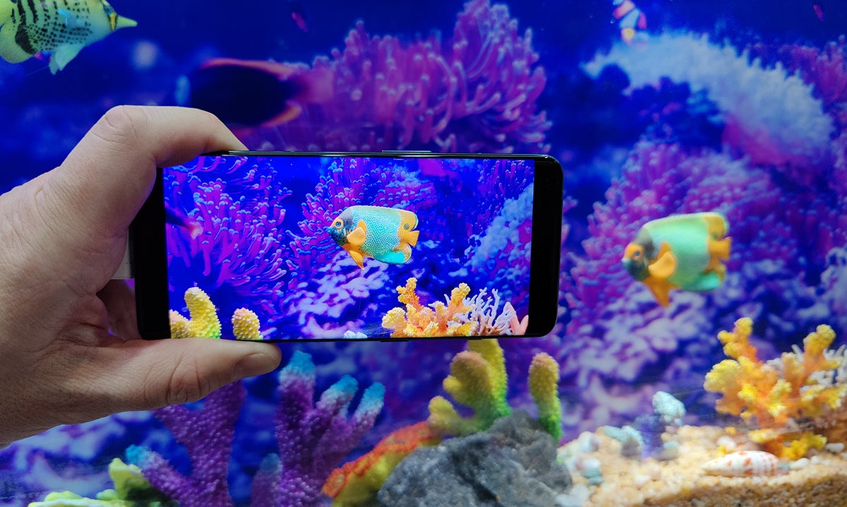 Photo: Carlos Zahumenszky / Gizmodo