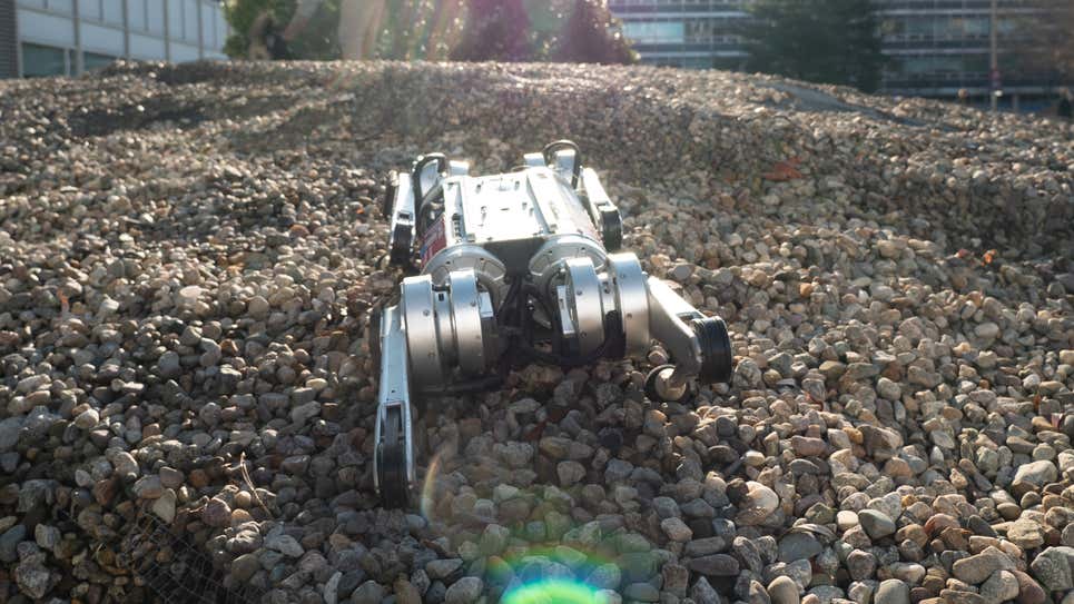 Photo: Thomas Buehler (MIT)