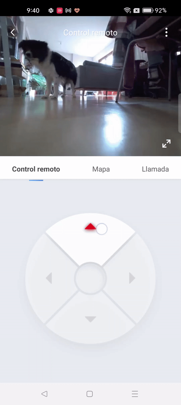 A mi perro no le gusta que le espíen.