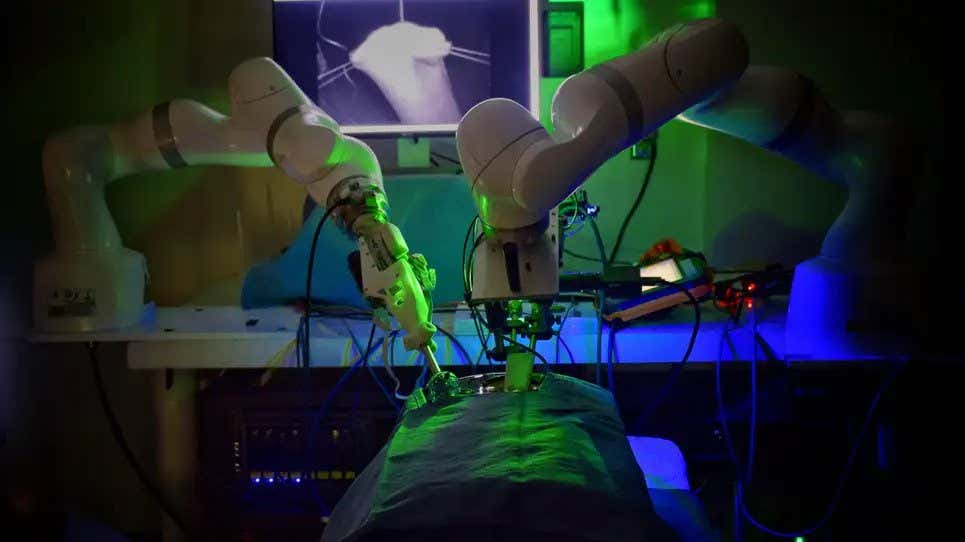 El robot autónomo de tejido inteligente puede realizar cirugía laparoscópica en el tejido blando de un cerdo sin ayuda humana