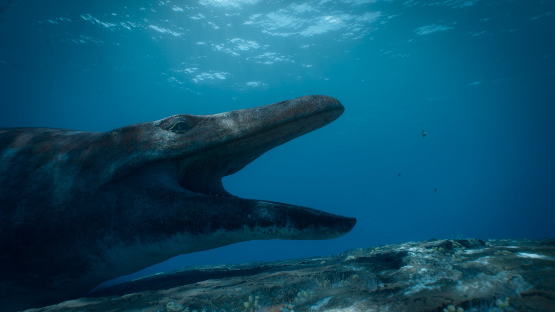 Mosasaurus en un sistema de arrecife, boca ancha.