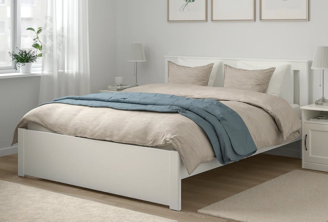 Parece una escena bucólica, pero no te dejes engañar.