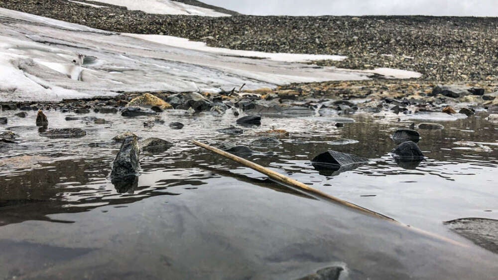 Image: Espen Finstad/secretsoftheice.com