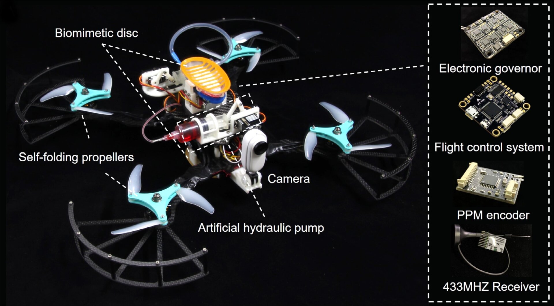 Image: Li et al., Science Robotics