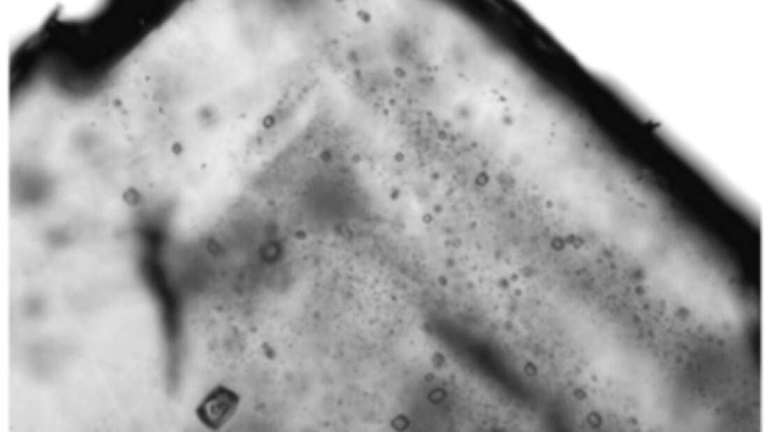 Image: Schreder-Gomes et al., Geology, 2022