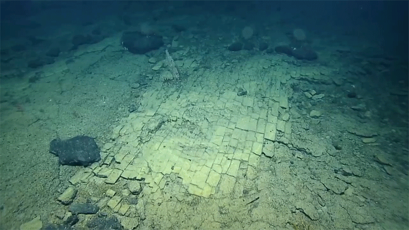 Gif: Ocean Exploration Trust/NOAA