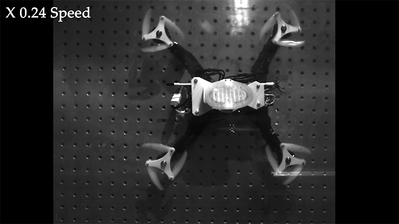 Image: Li et al., Science Robotics