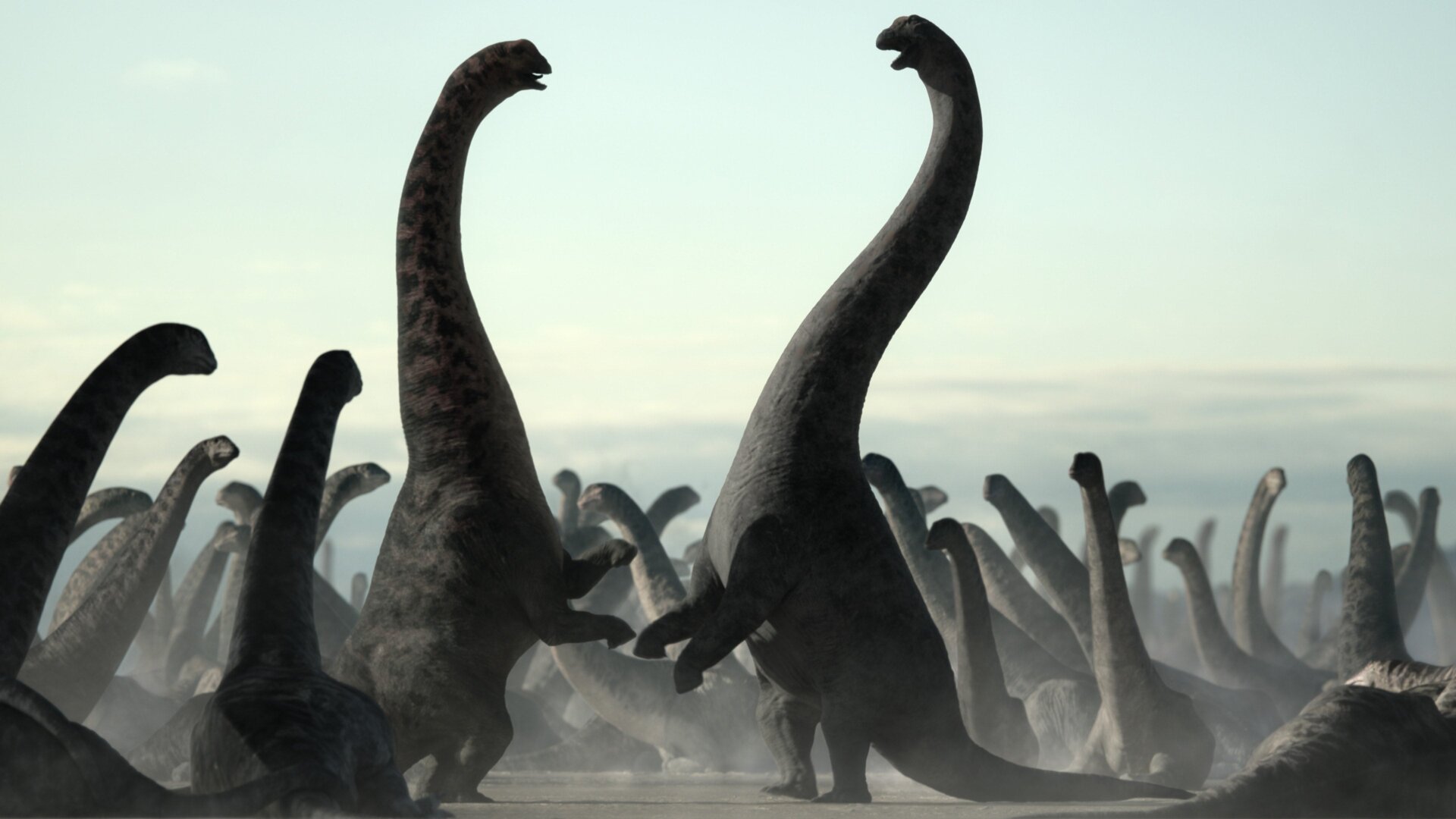 Dos enormes Dreadnoughtus machos en combate.