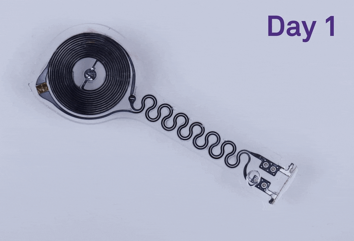 Este marcapasos se disuelve pasadas unas semanas como puedes ver arriba.