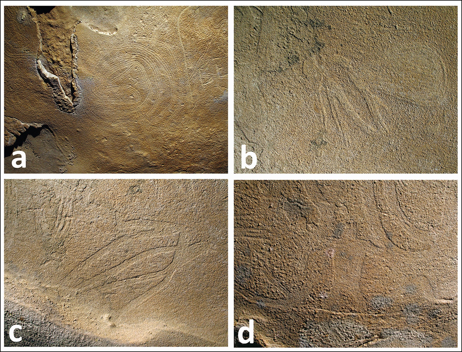 Aspecto de las pinturas vistas desde el suelo de la cueva.