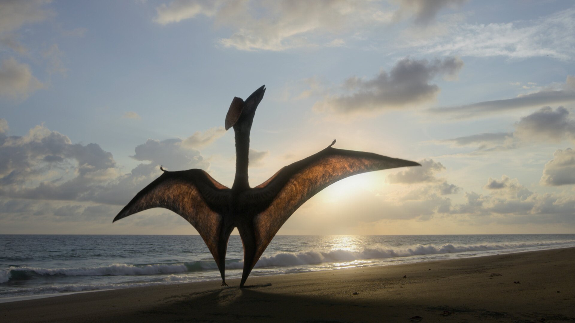 Hatzegopteryx, un pterosaurio del Cretácico, tumbado en una playa.