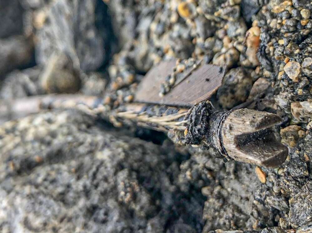 Image: Espen Finstad/secretsoftheice.com