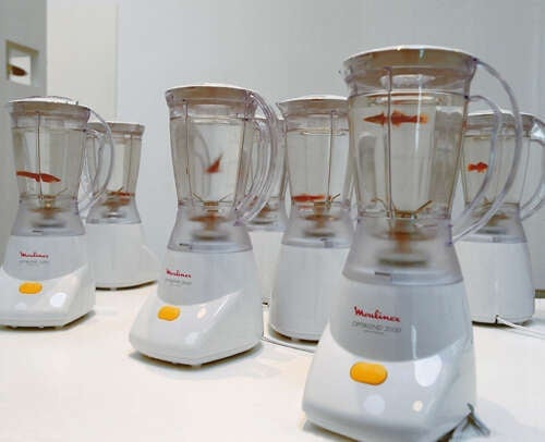 Image: TRAPHOLT MUSEUM / MARCO EVARISTTI