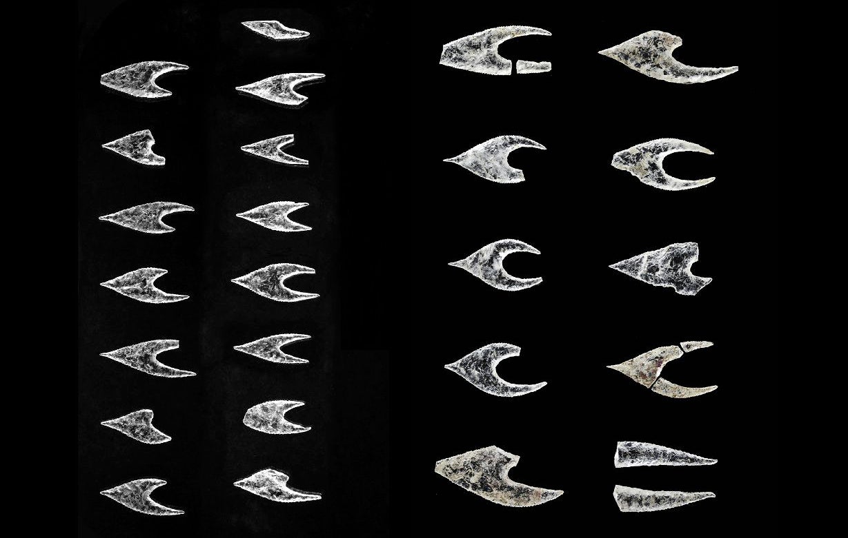 Photo: Miguel Ángel Blanco de la Rubia