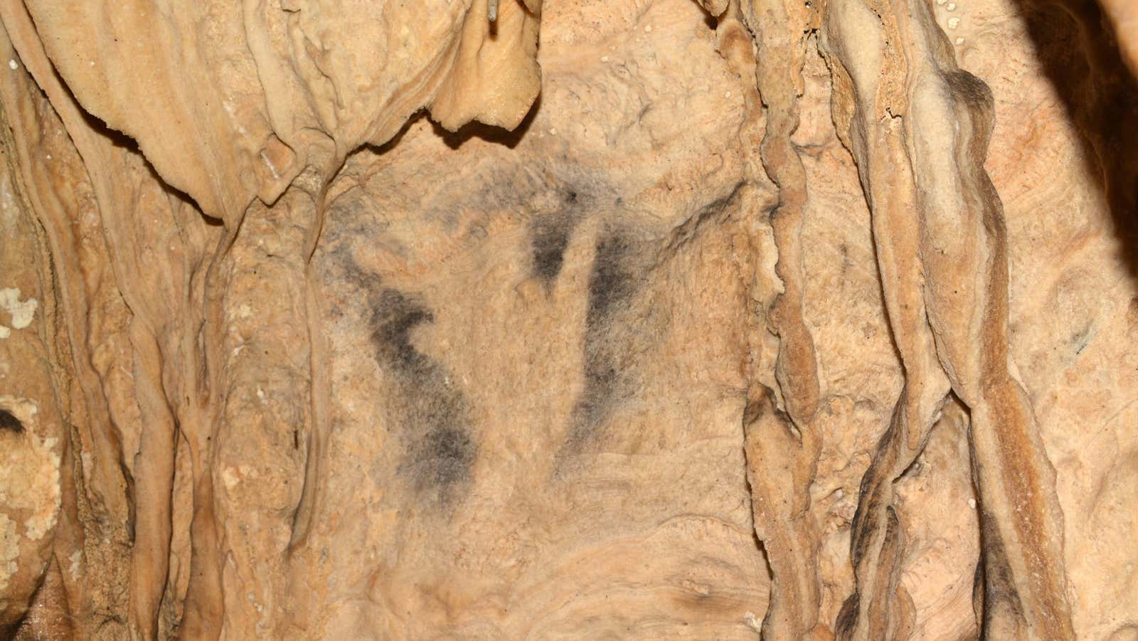 Photo: Ramos-Muñoz et al., PLoS One 2022