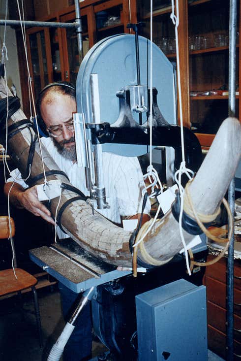 Fisher manipulando el colmillo derecho de Fred