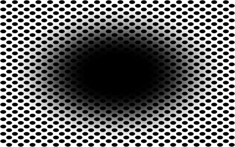 Image: Laeng et al., Front. Hum. Neurosci., 2022