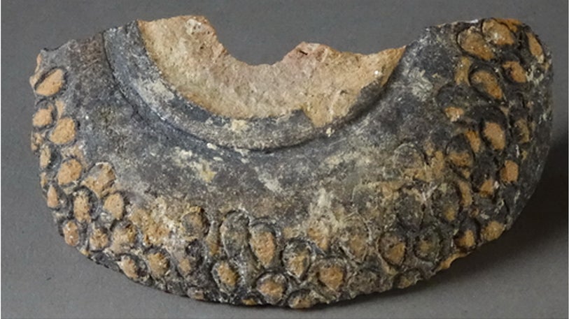 Photo: Matheson et al. 2022, PLoS Uno