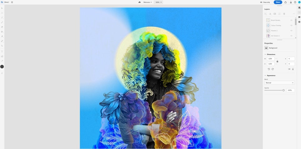 Adobe Photoshop en la web.