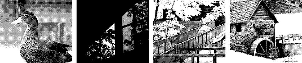 Image: Christopher Graves