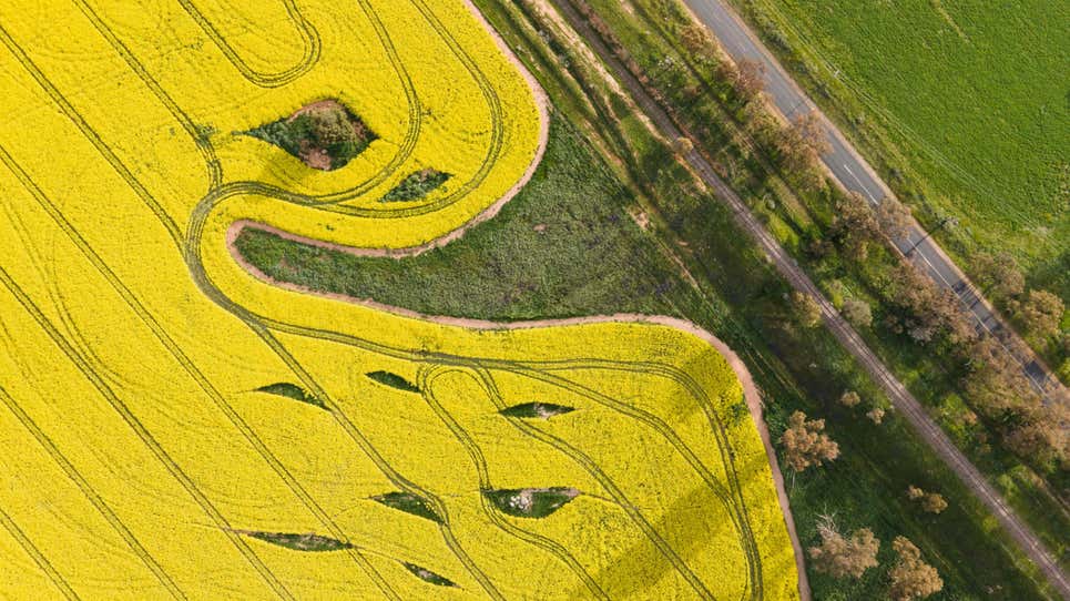 Photo: Brook Mitchell