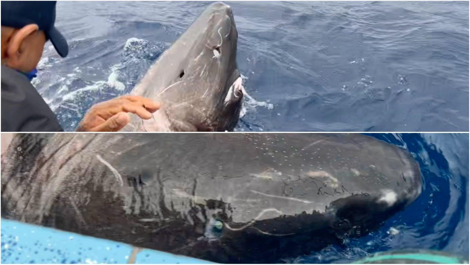 Image: Devanshi Kasana