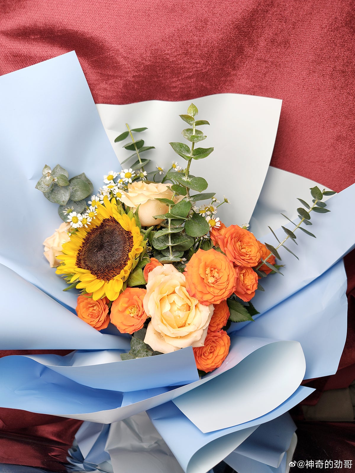 No te molestes en hacer zoom. Esta es una versión reducida de la foto original. Para verla a tamaño completo sigue el enlace