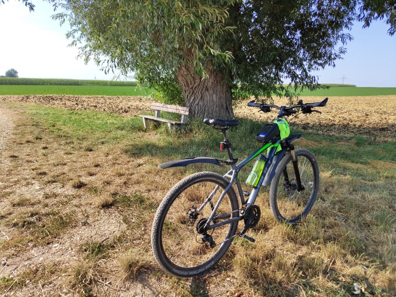 Photo: Carlos Zahumenszky / Gizmodo