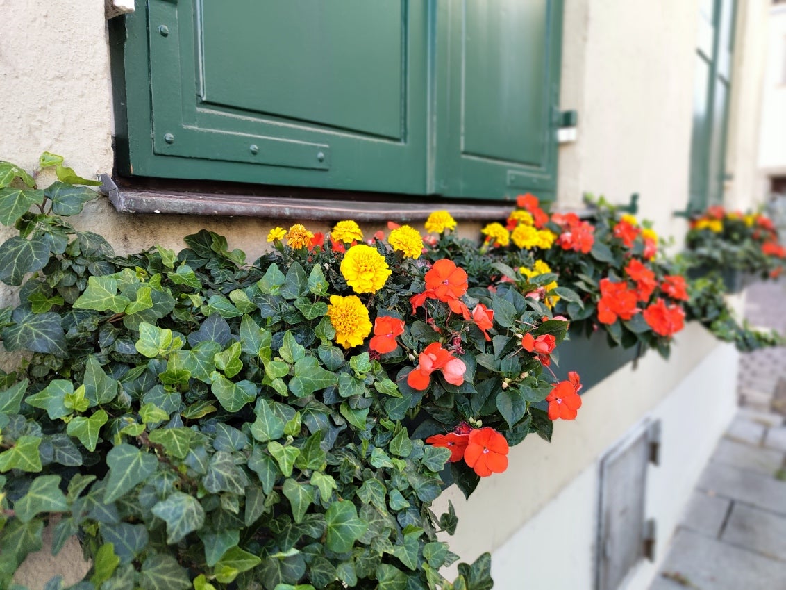 Photo: Carlos Zahumenszky / Gizmodo