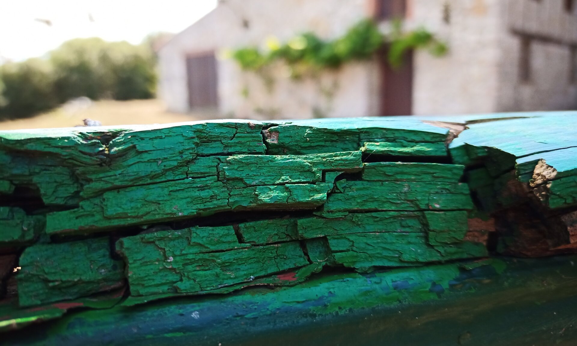 No hay cámara macro o gran angular para fotos cercanas. Toca improvisar.