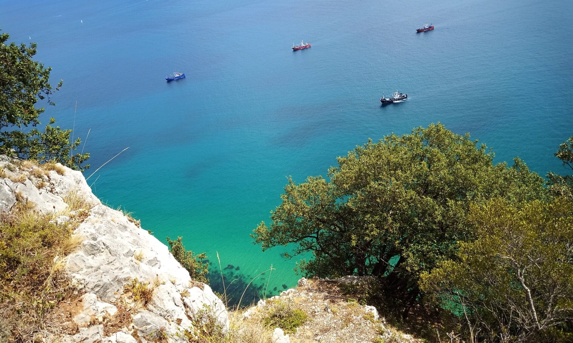 Con buena luz, la Slim saca fotos muy resultonas, pero eso es algo que ya hacen todos los móviles.