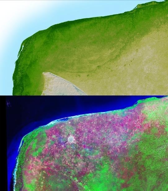 Imágenes Landsat y SRTM de la NASA de Yucatán, que indican el borde del cráter Chicxulub. Las áreas urbanas son blancas, y las áreas magenta y verde indican vegetación.