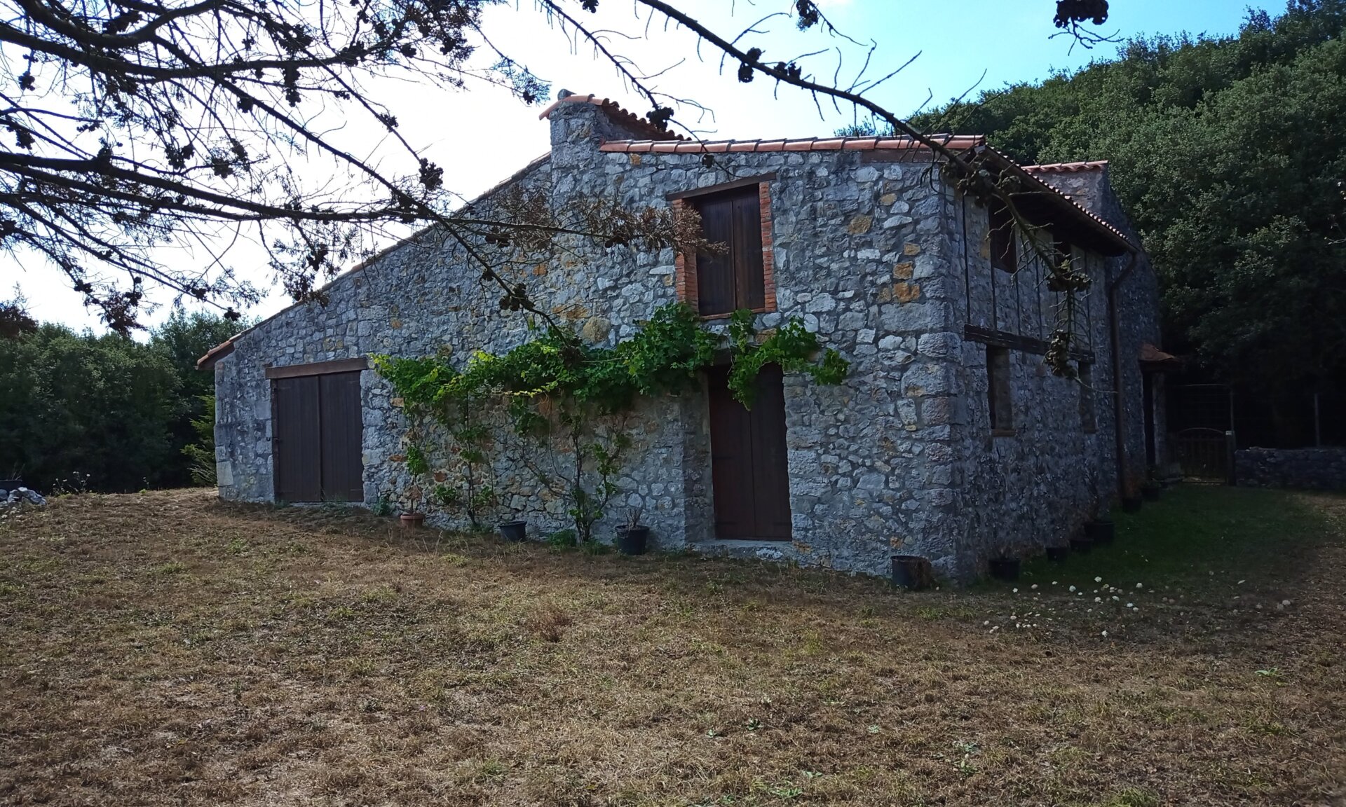 La cámara tiene problemas a la hora de ajustar las zonas de luz y sombra. Aquí las sombras son visibles, pero a costa de perder el cielo.