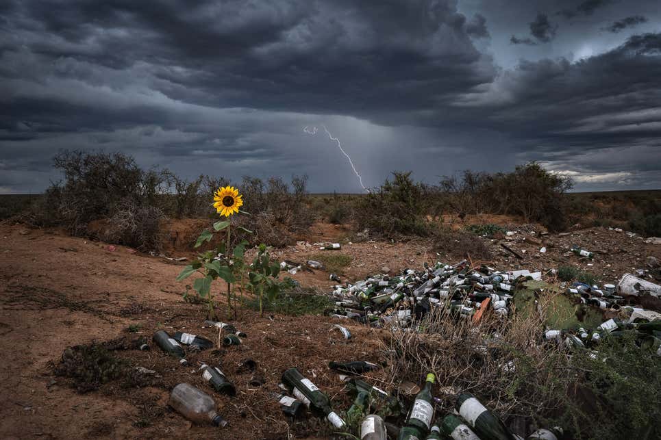 Photo: Bertus Hanekom / Nature TTL Photographer of the Year