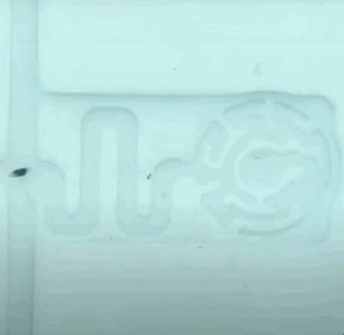 Gif: Science Advances/YouTube