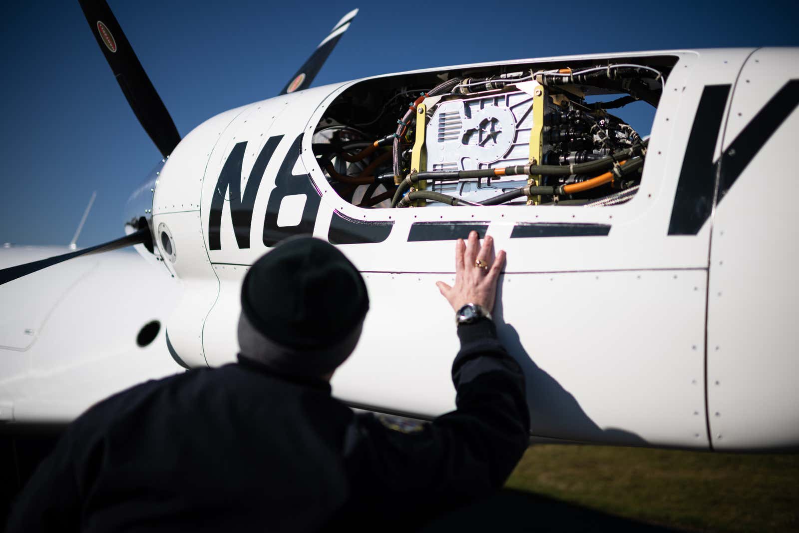 Photo: Mathieu Lewis-Rolland