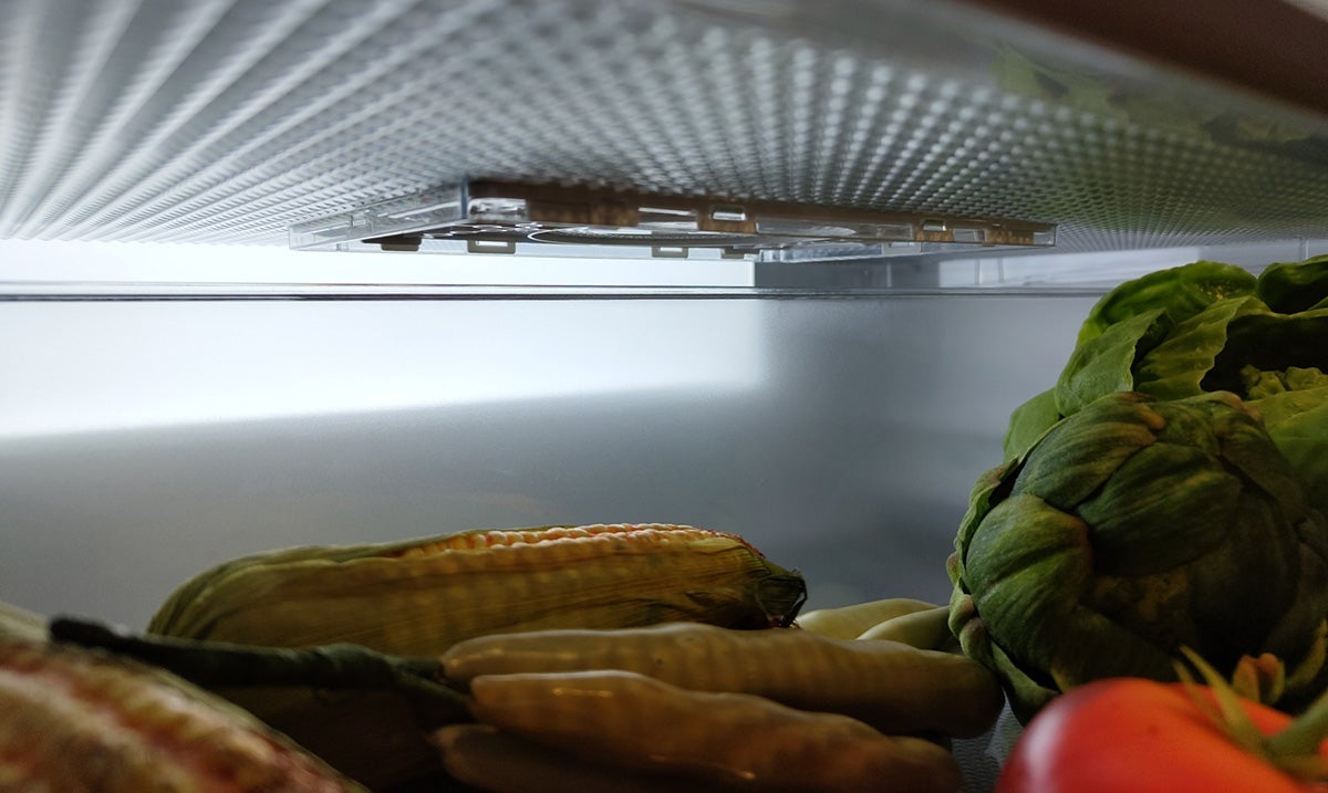 Photo: Carlos Zahumenszky / Gizmodo