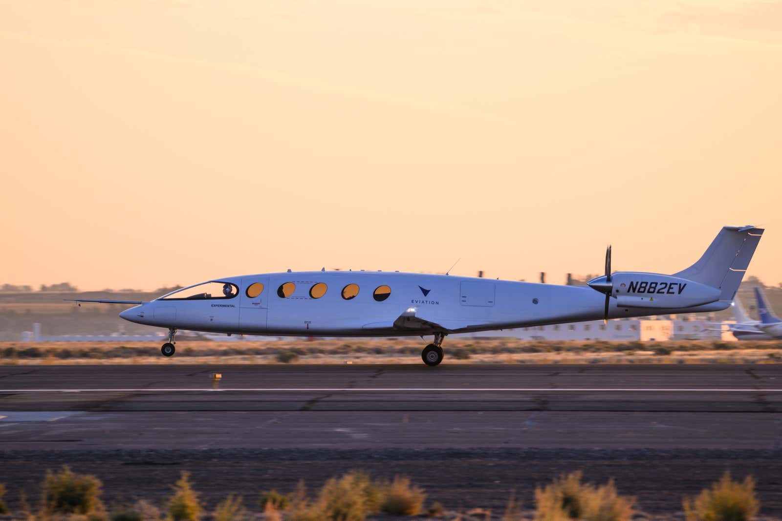 Photo: Mathieu Lewis-Rolland