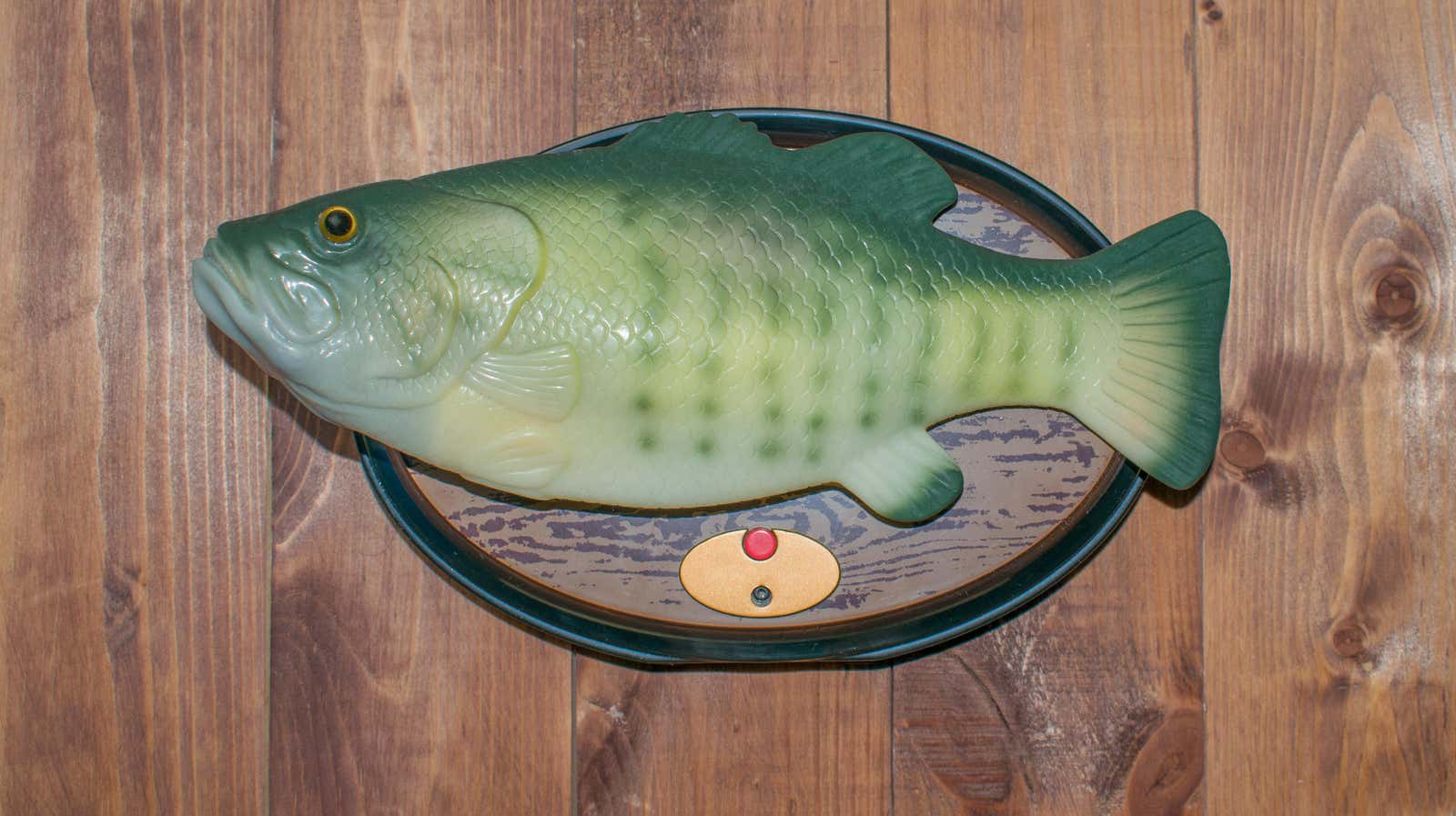 Photo: Babakova Anastasiia