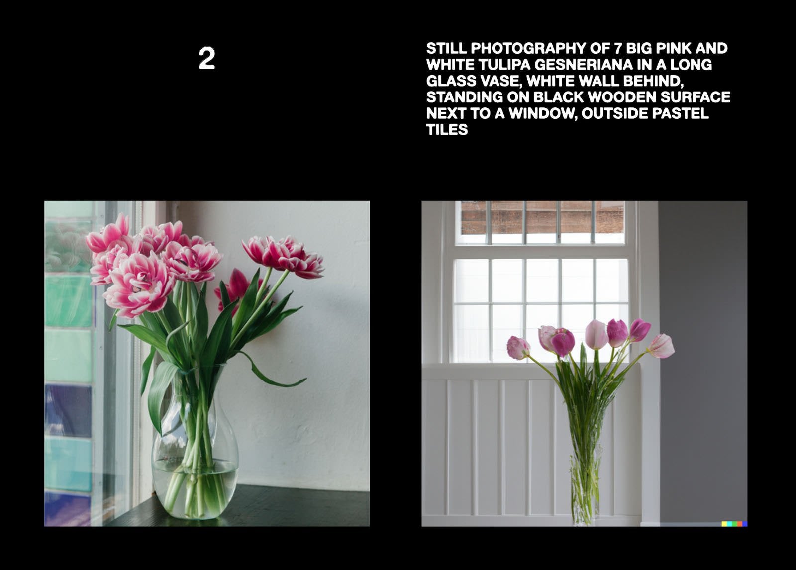 Image: Fabian Stelzer