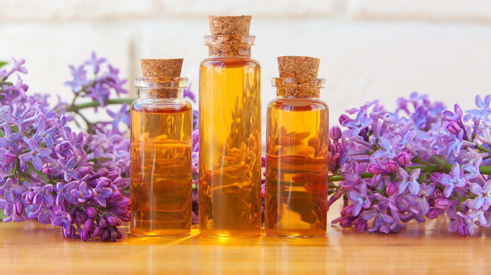 Photo: Nikolaeva Galina