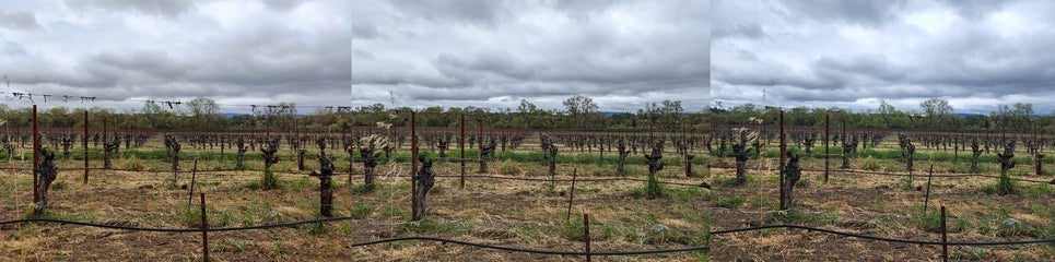 De izquierda a derecha: OnePlus 10 Pro, Pixel 6 Pro y Galaxy S22 Ultra.