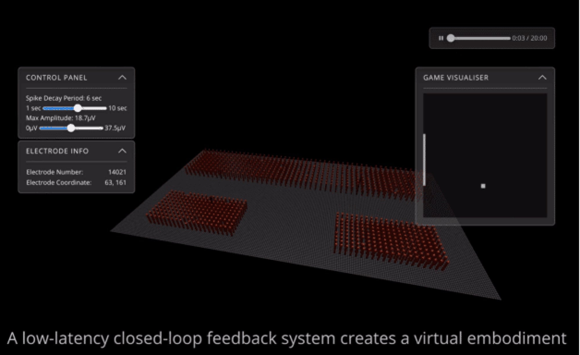 Image: Cortical Labs