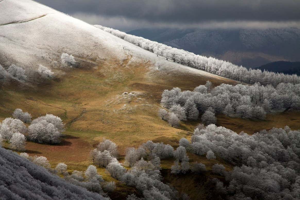 Image: Francisco Javier Munuera González/TNC Photo Contest